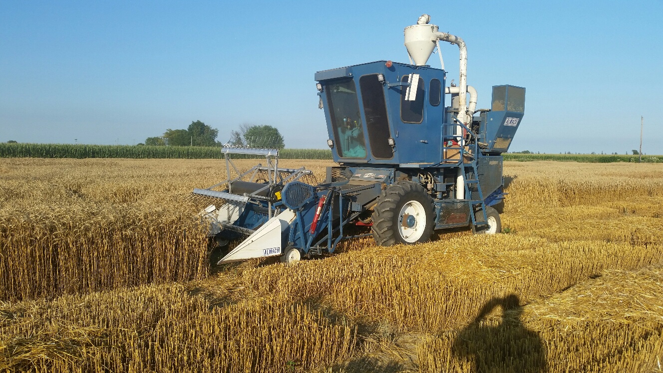 Almaco SPC 40 harvesting winter wheat yield trials