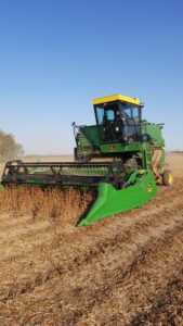 Harvesting soybean breeder plots in Arthur, ON